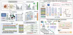Trustworthy Medical Concept Recalibration through Logic-Aware Multimodal Evidence Fusion