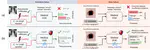 CRAFT: Causal Responsibility and Failure Tracing in Medical Vision Language Models