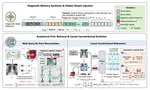 MedSynapse-V: Bridging Visual Perception and Clinical Intuition via Latent Memory Evolution