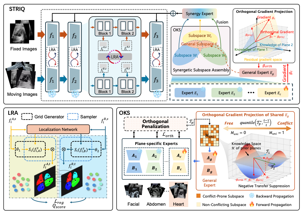 Subspace-Guided Semantic and Topological Invariant Registration for Annotation-Free Ultrasound Plane Quality Control