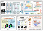 Subspace-Guided Semantic and Topological Invariant Registration for Annotation-Free Ultrasound Plane Quality Control