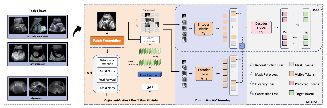 Advancing Ultrasound Medical Continuous Learning with Task-Specific Generalization and Adaptability